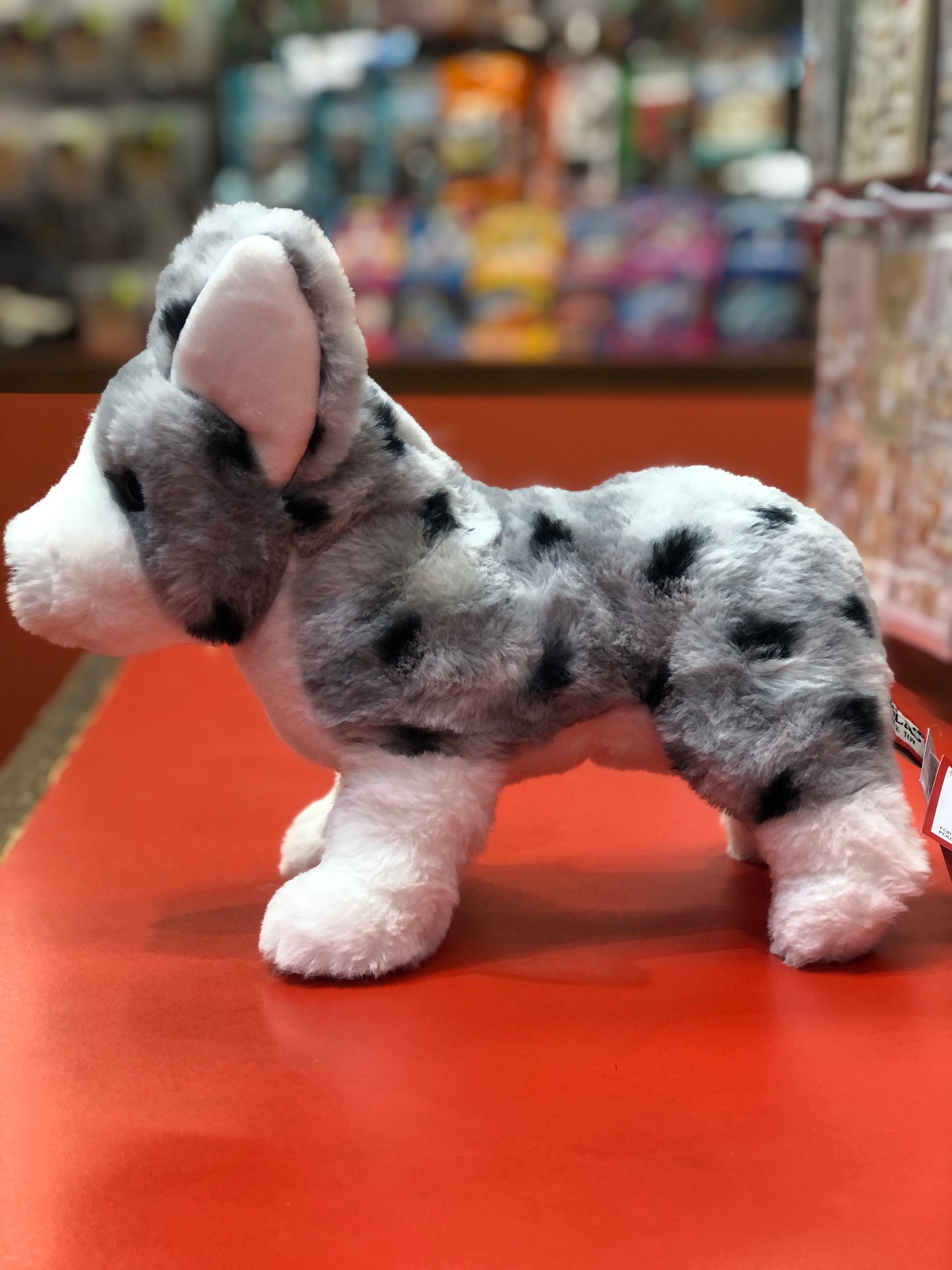 Soft plush Douglas Codie Corgi with blue merle coat and oversized pink ears on red display surface in toy store