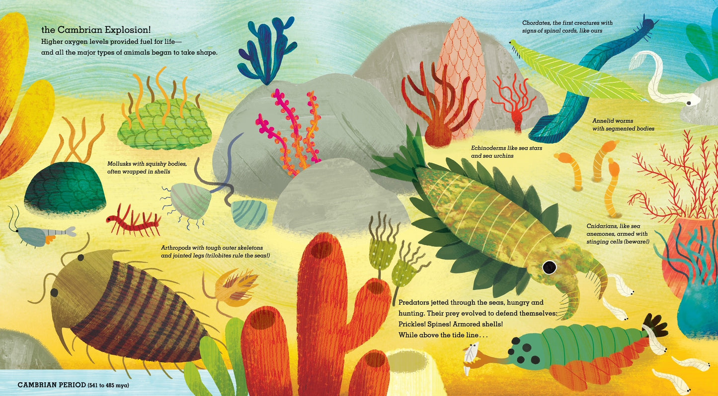 Colorful illustration of Cambrian Explosion showing diverse prehistoric sea creatures, including mollusks, arthropods, and chordates in vibrant underwater scene