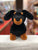 Jellycat Large Frank Sausage Dog Plush 7"