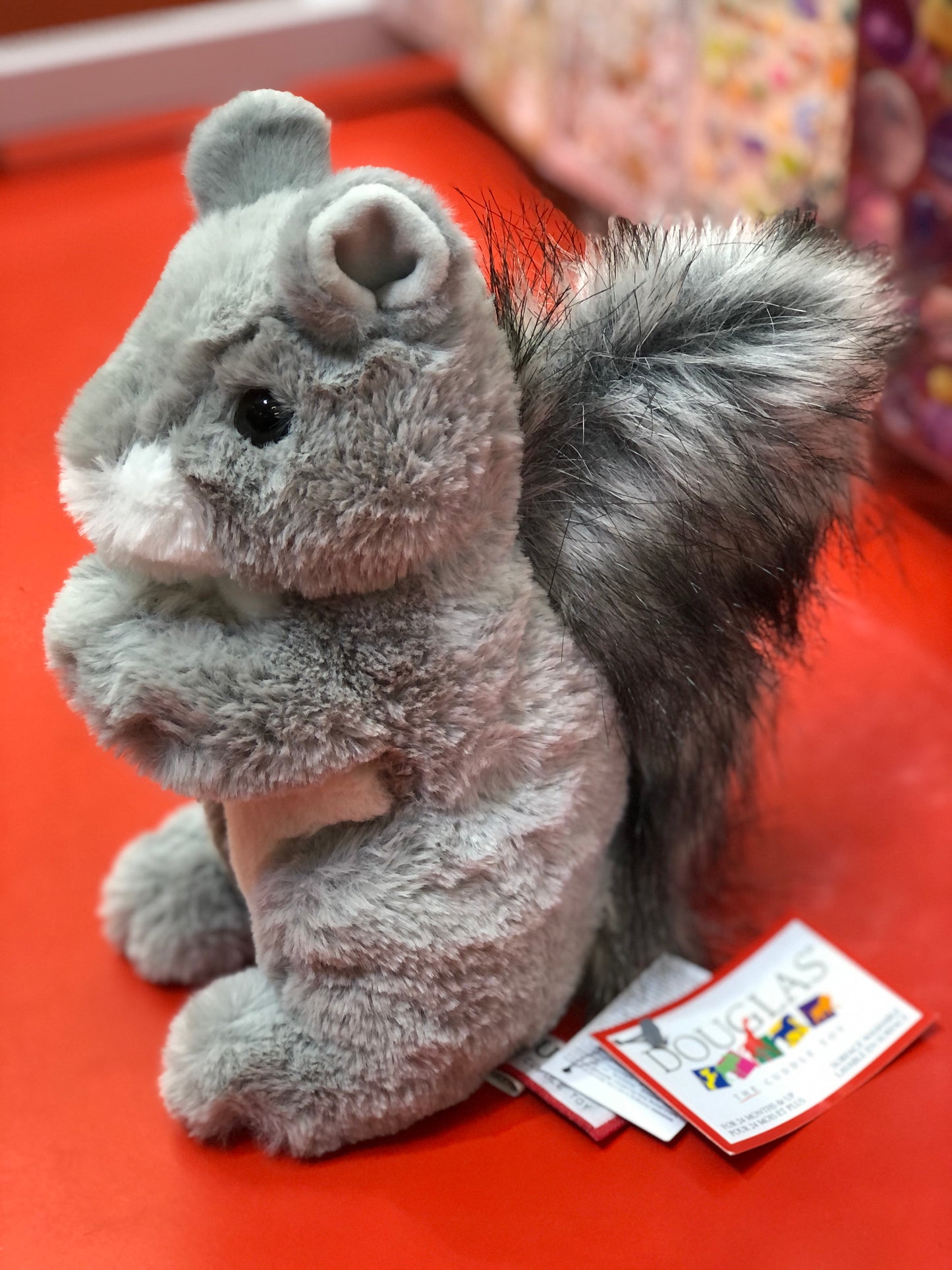 Cute gray squirrel plush toy "Douglas Swiftie" with fluffy tail, sitting on red surface, product tag visible