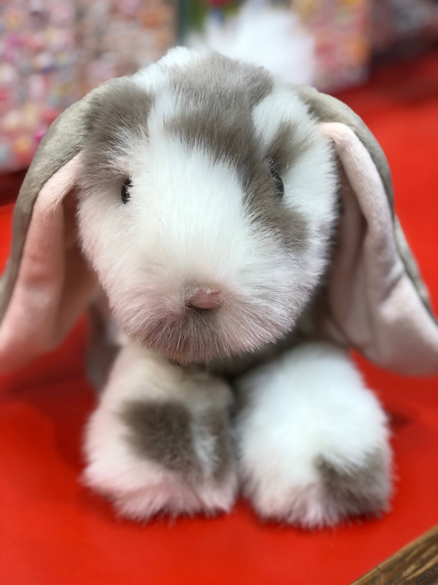 Adorable gray and white spotted bunny plush toy Ramsey with floppy ears on red background, perfect springtime companion