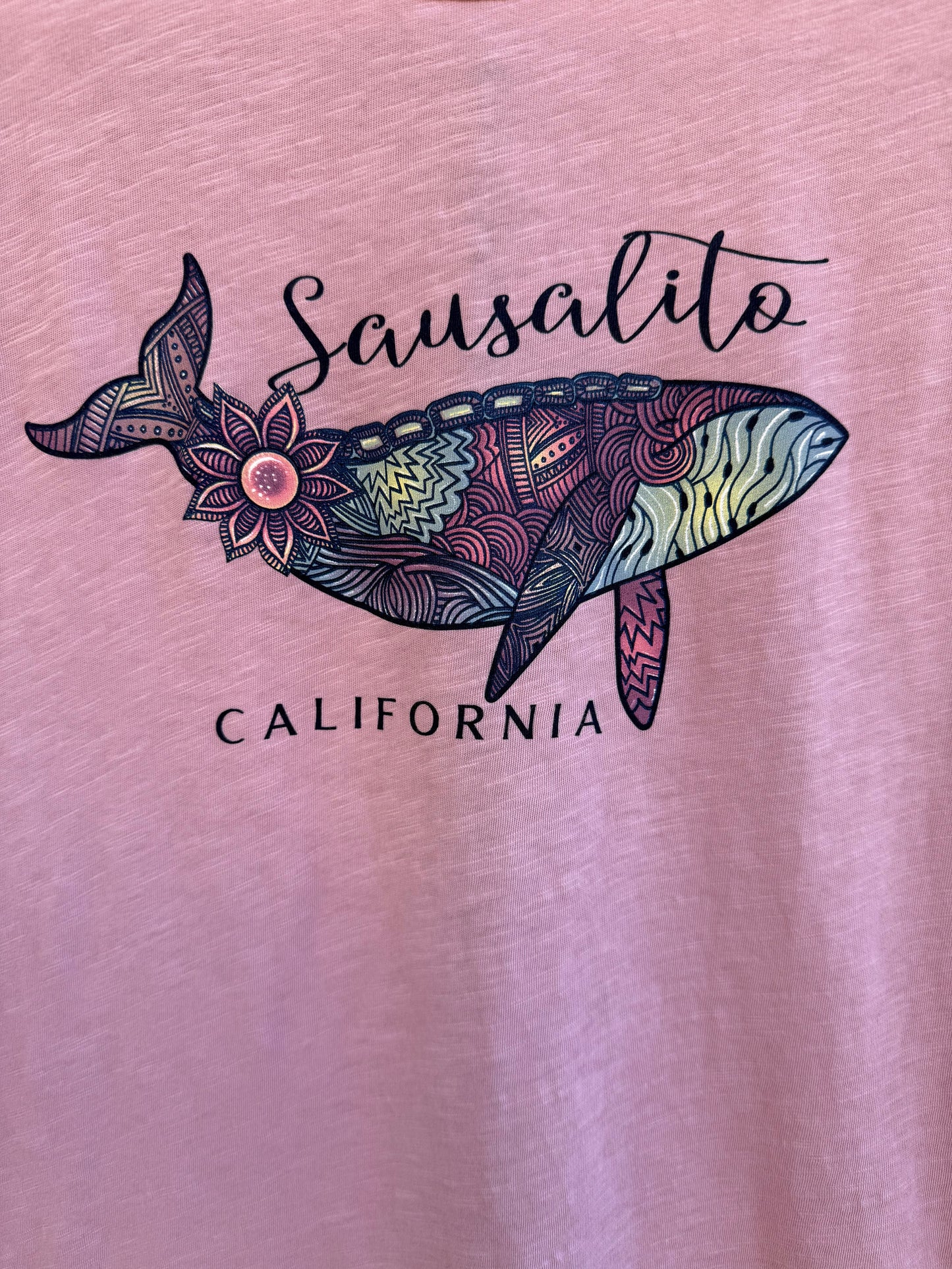 Sausalito Bubbling Humpback Whale Women's Short Sleeve T Shirt