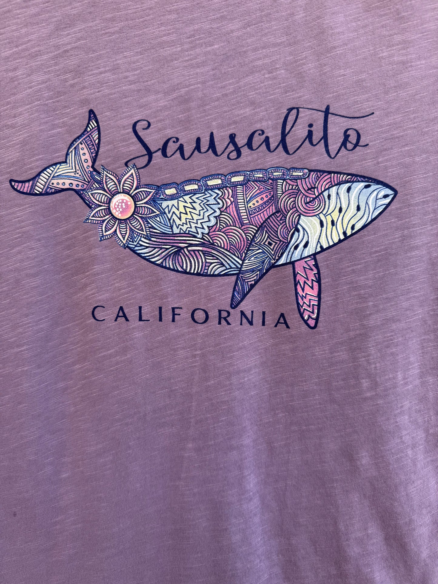 Sausalito Bubbling Humpback Whale Women's Short Sleeve T Shirt