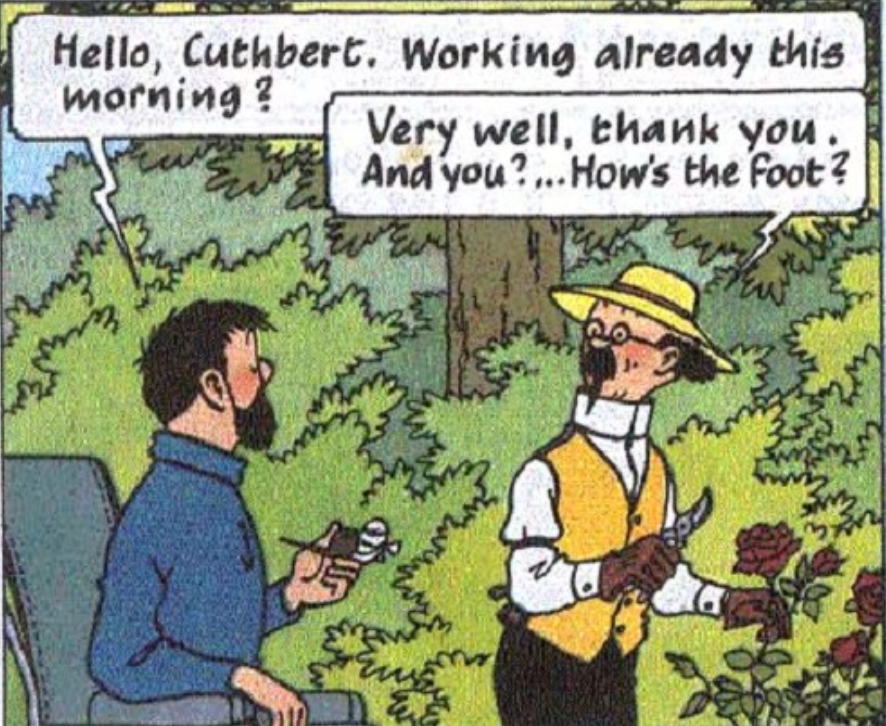 A comic panel from Hergé's Tintin adventure The Castafiore Emerald. On the right, Professor Calculus stands in a garden wearing a wide-brimmed yellow sun hat and yellow vest, holding gardening shears and looking toward Captain Haddock. On the left, a bearded Captain Haddock sits outdoors in a blue sweater, holding a small wrapped bandage, with a speech bubble that reads, "Hello, Cuthbert. Working already this morning?"