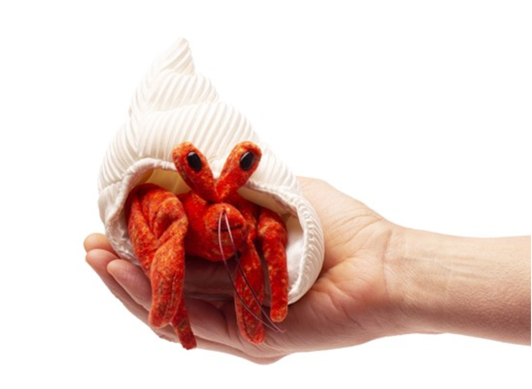 Folkmanis Mini Hermit Crab finger puppet with textured shell and bright red body, held in a hand to show interactive features