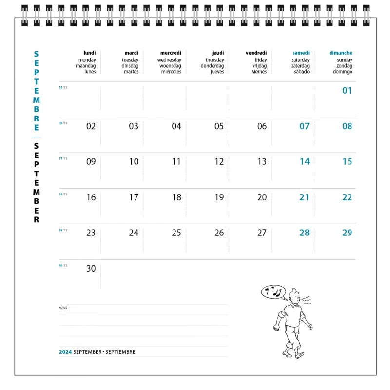 Tintin 2024 Wall Calendar 30cm x 30cm Ref. 24463