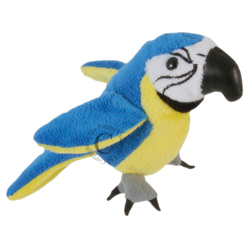 Colorful blue and gold macaw finger puppet from The Puppet Company, plush toy for storytelling and play