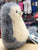 Jellycat Nauticool Roly Poly Seal Plush 6"