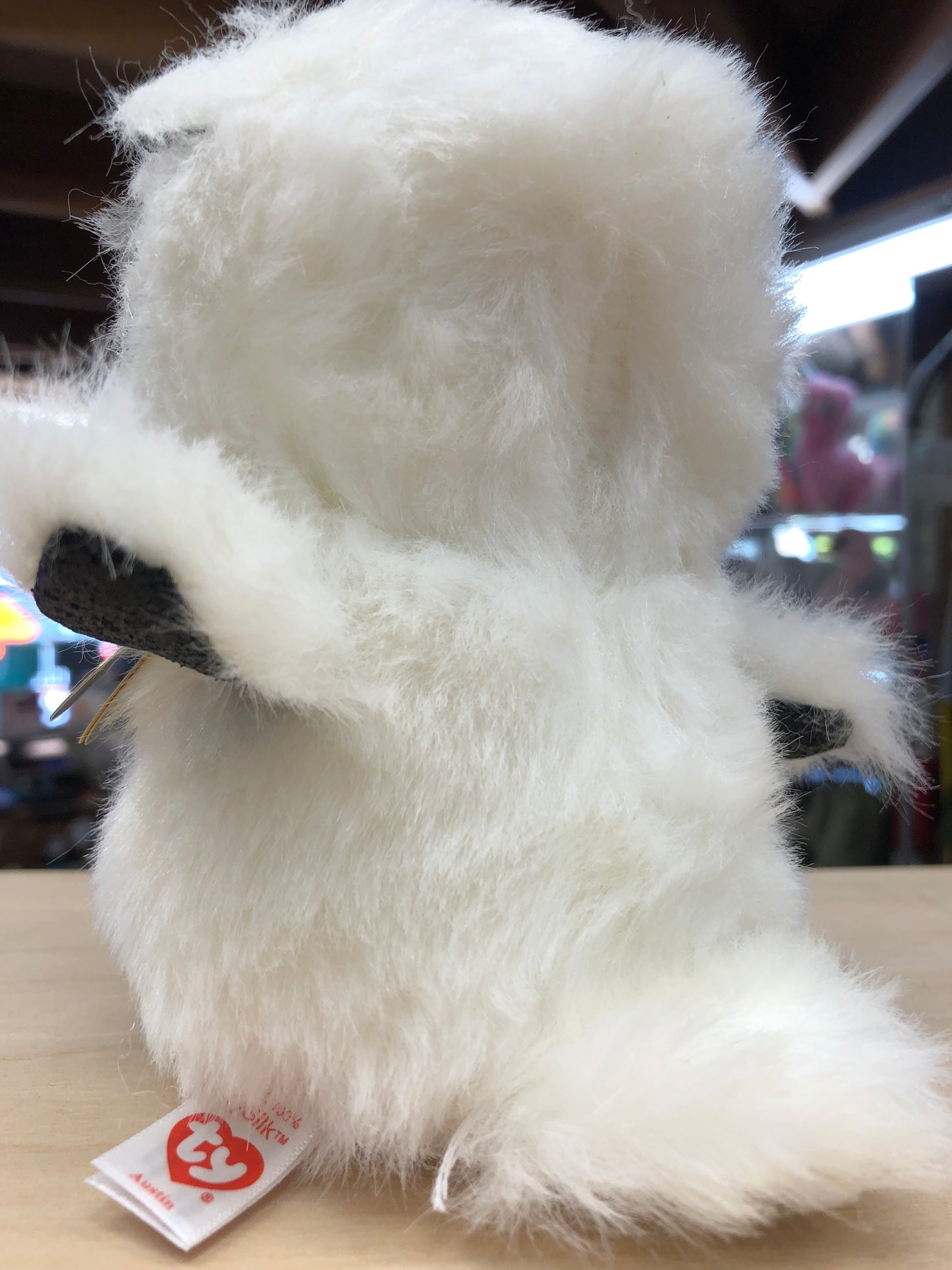 Fluffy white Ty Beanie Boo Austin owl plush toy with black accents, sitting on display with signature heart tag visible