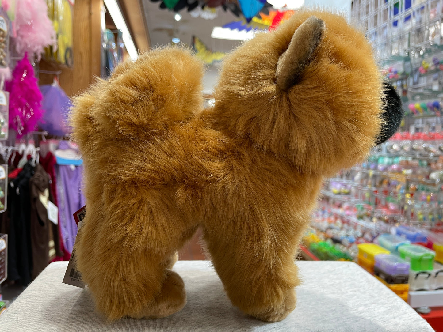 Realistic Chow plush toy with fluffy golden fur, curled tail, and distinctive features displayed in colorful toy store setting