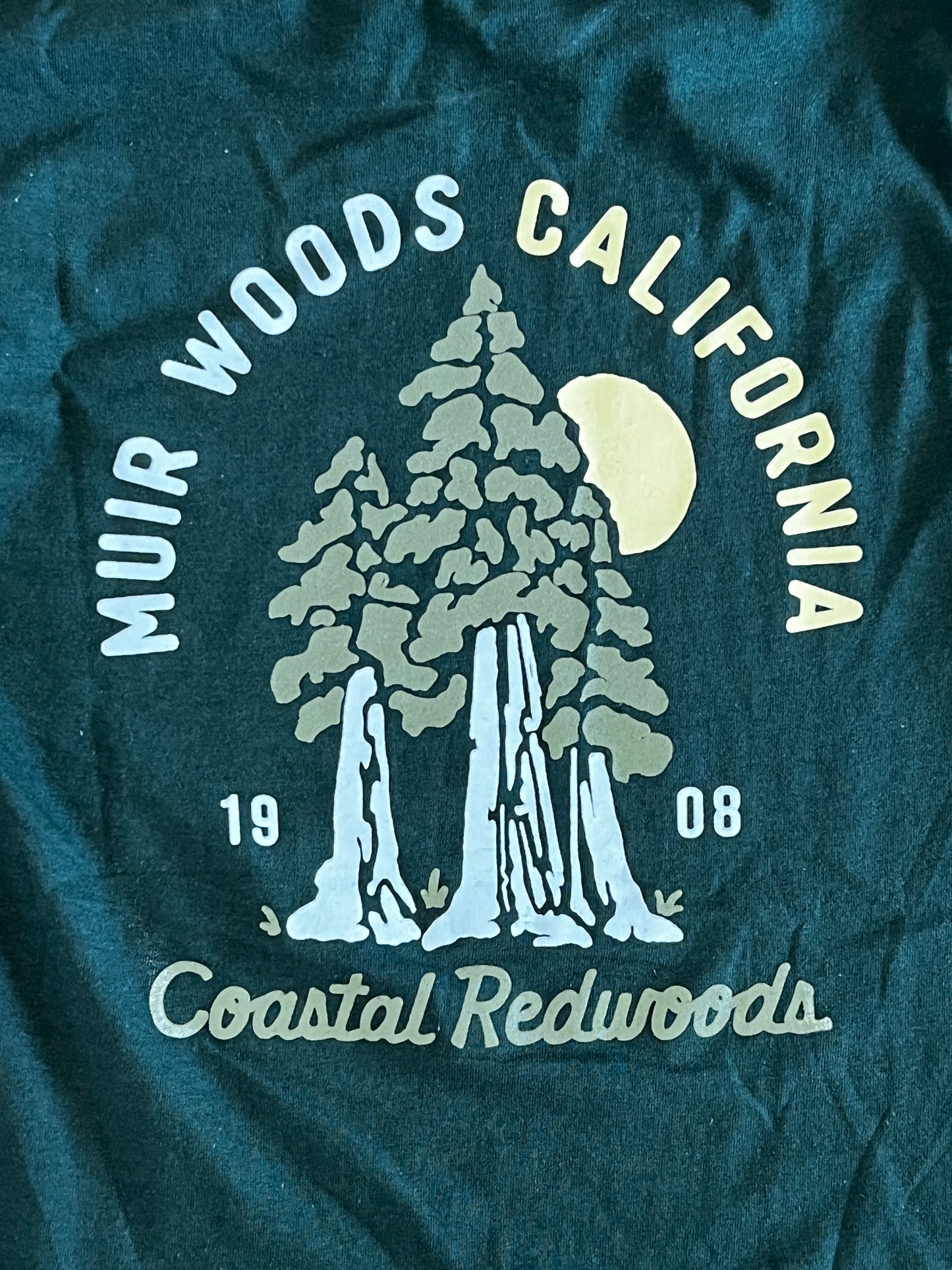 Muir Woods California t-shirt design featuring coastal redwood trees and rising sun, commemorating the park's 1908 establishment