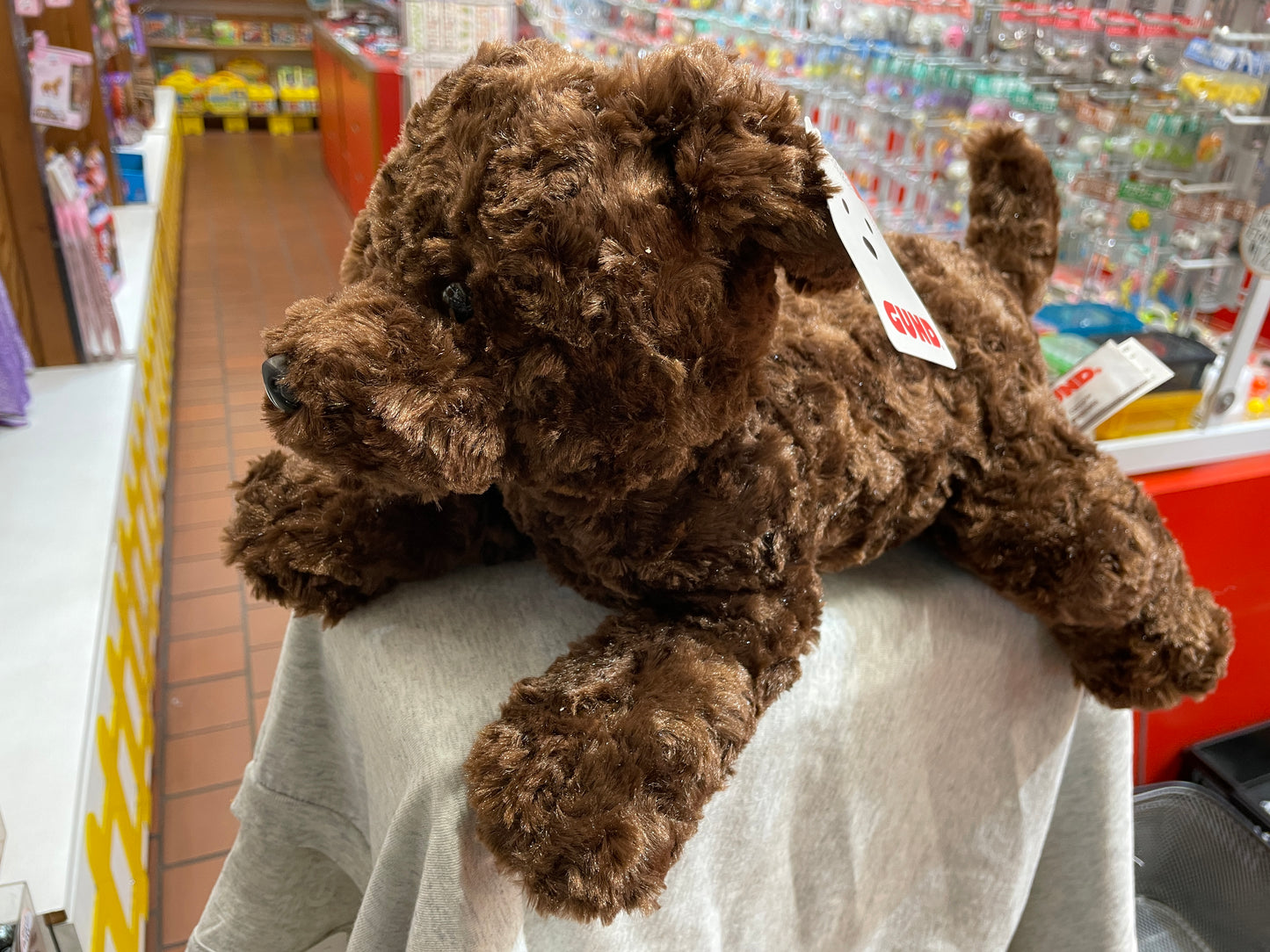 Gund Cocco chocolate lab plush toy displayed in store, soft brown fur and floppy ears visible, 14-inch size