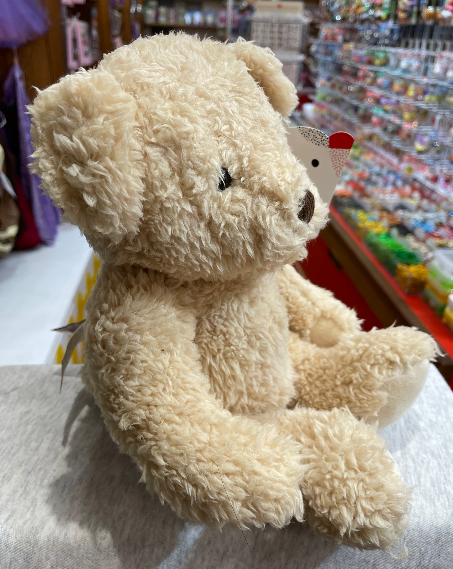 Soft beige Gund Cindy Bear plush toy sitting in toy store, showcasing vintage-inspired articulated design and cuddly appearance