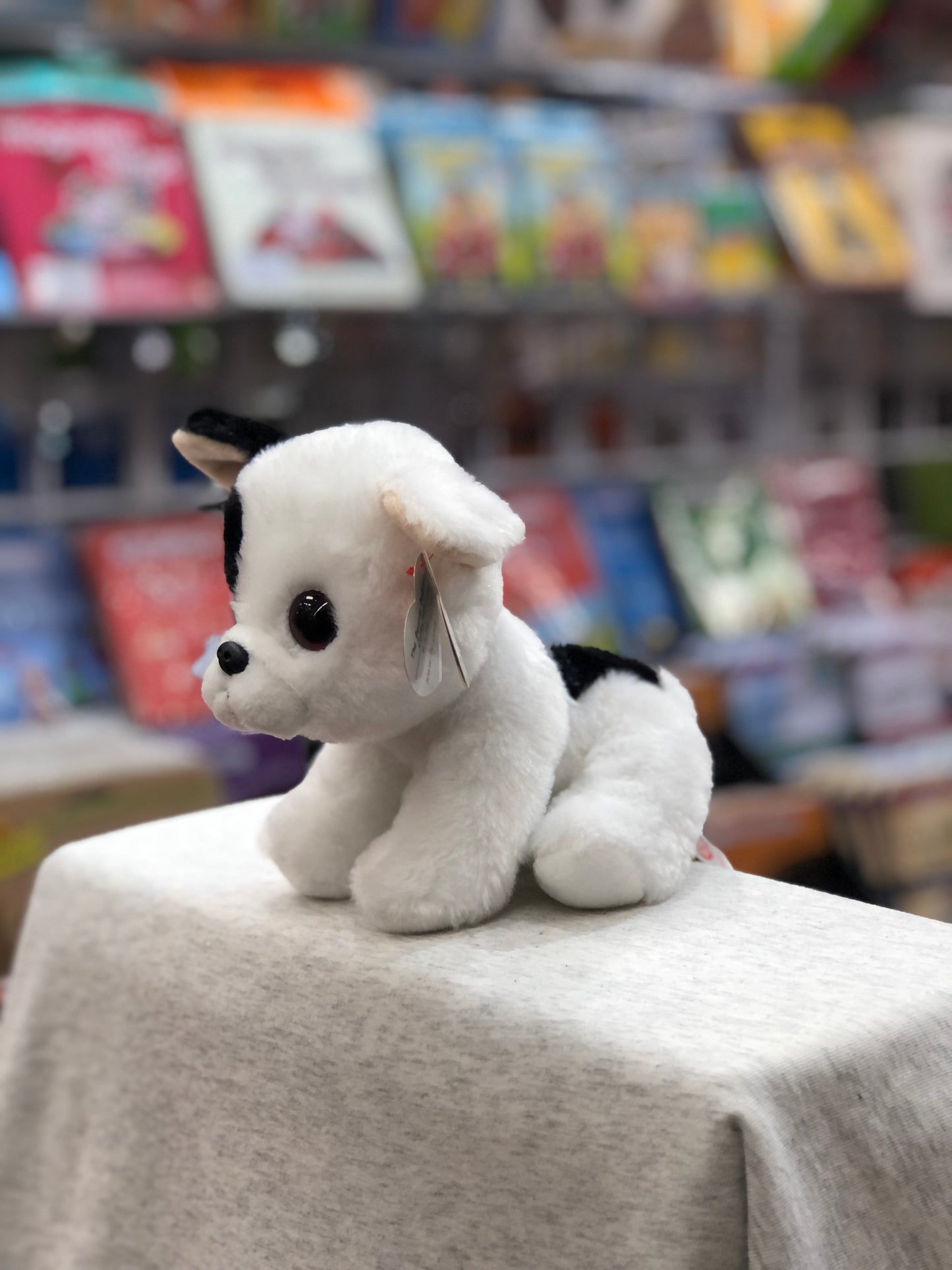 Ty Original Beanie Baby Marcel, white plush dog with upright ears, sitting on display in toy store