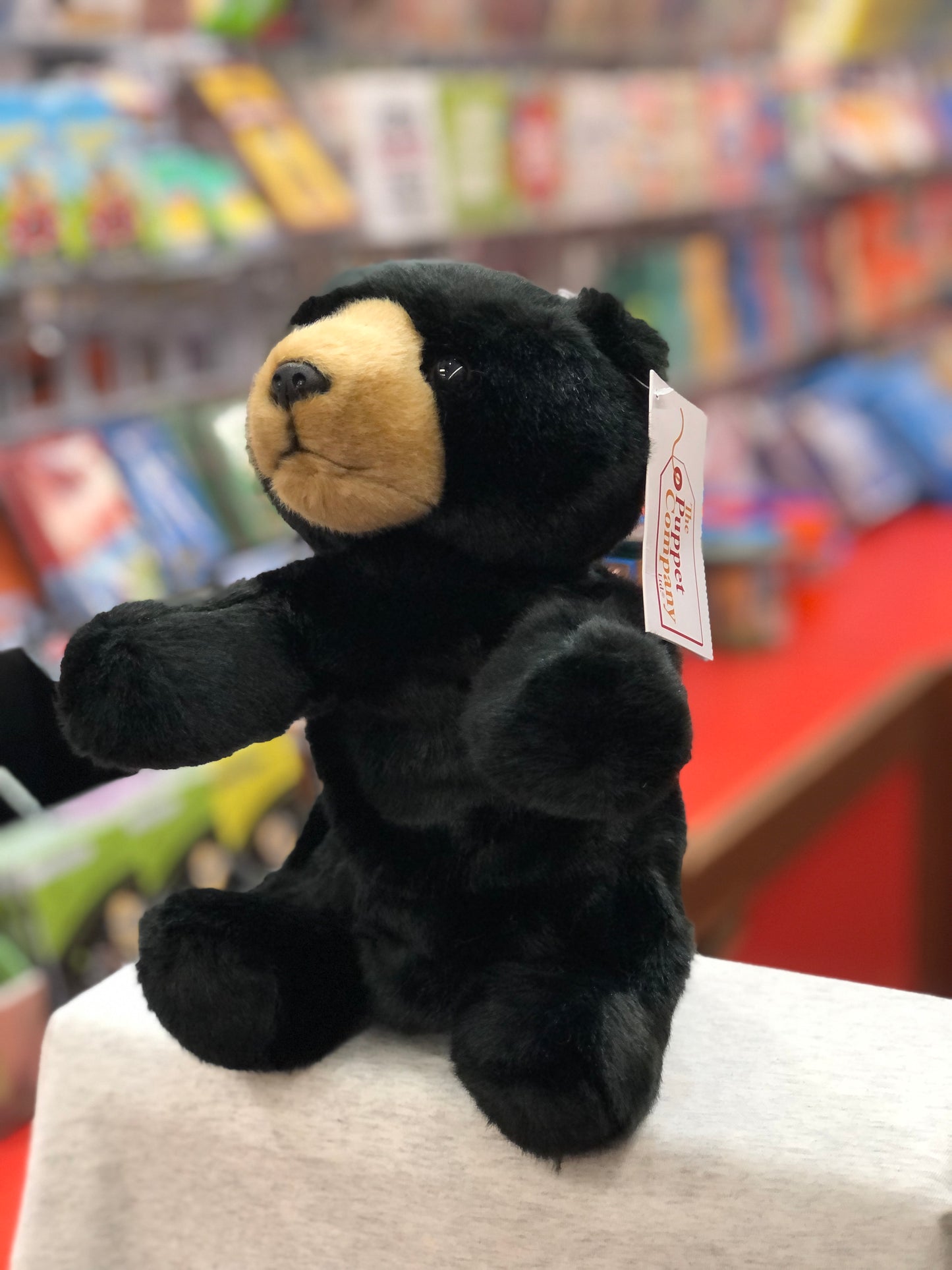 Cuddly black bear puppet from The Puppet Company displayed in toy store, soft plush design with movable arms and legs