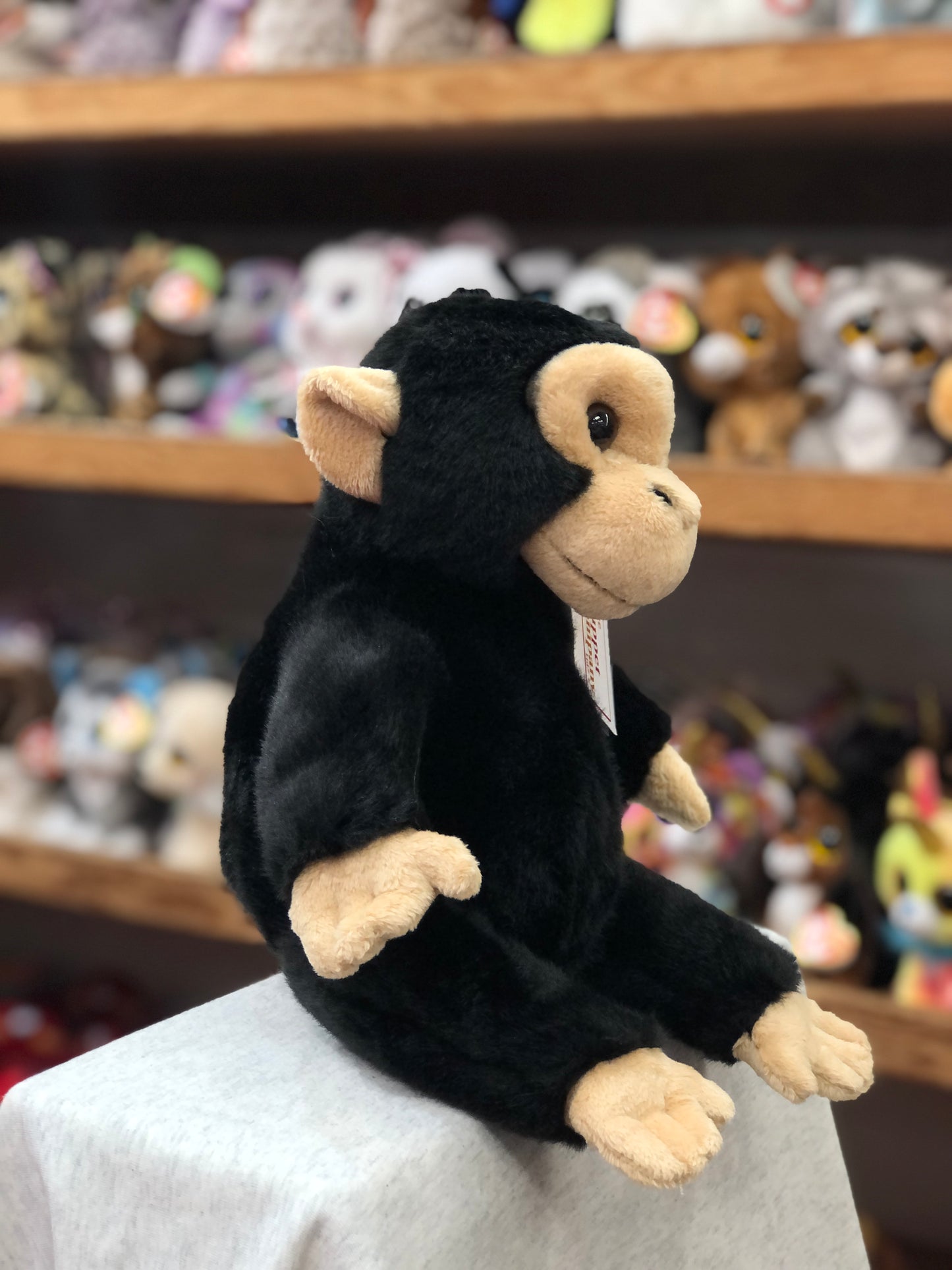 Cuddly full-bodied chimp puppet from The Puppet Company, sitting on display with plush toys in background