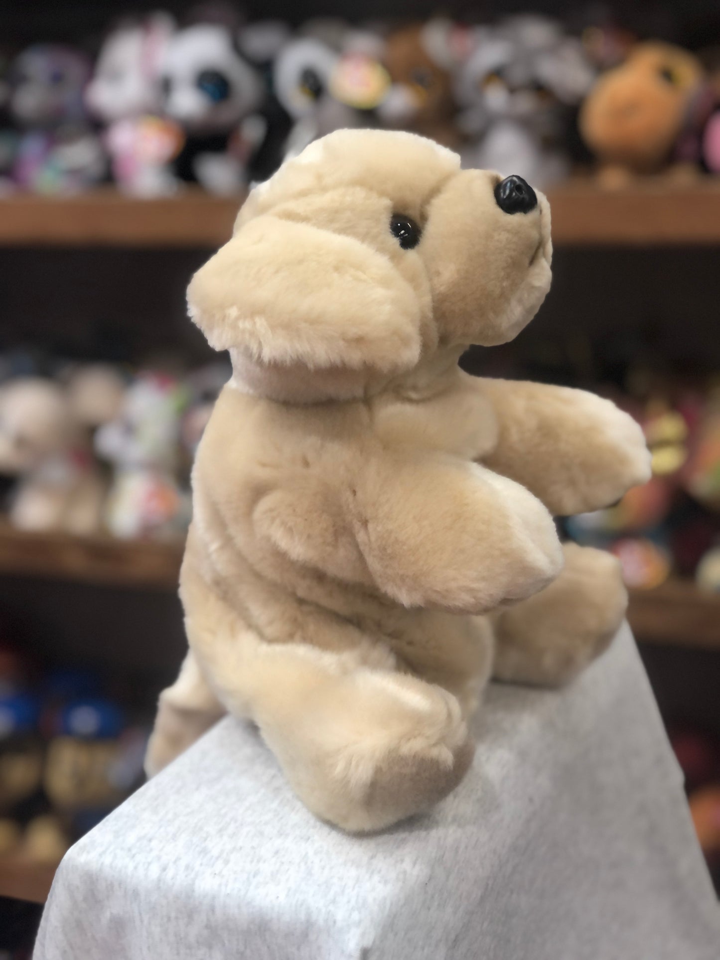 Cuddly full-bodied Labrador puppet toy sitting on display, soft beige fur, black nose and eyes, surrounded by other plush toys