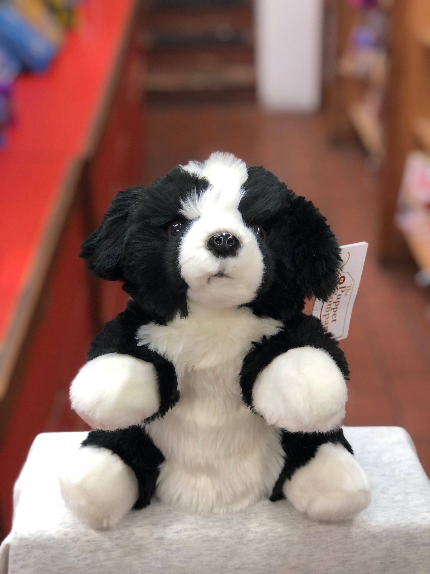 Cuddly black and white border collie puppet sitting on display, full-bodied plush design with realistic features and soft fur