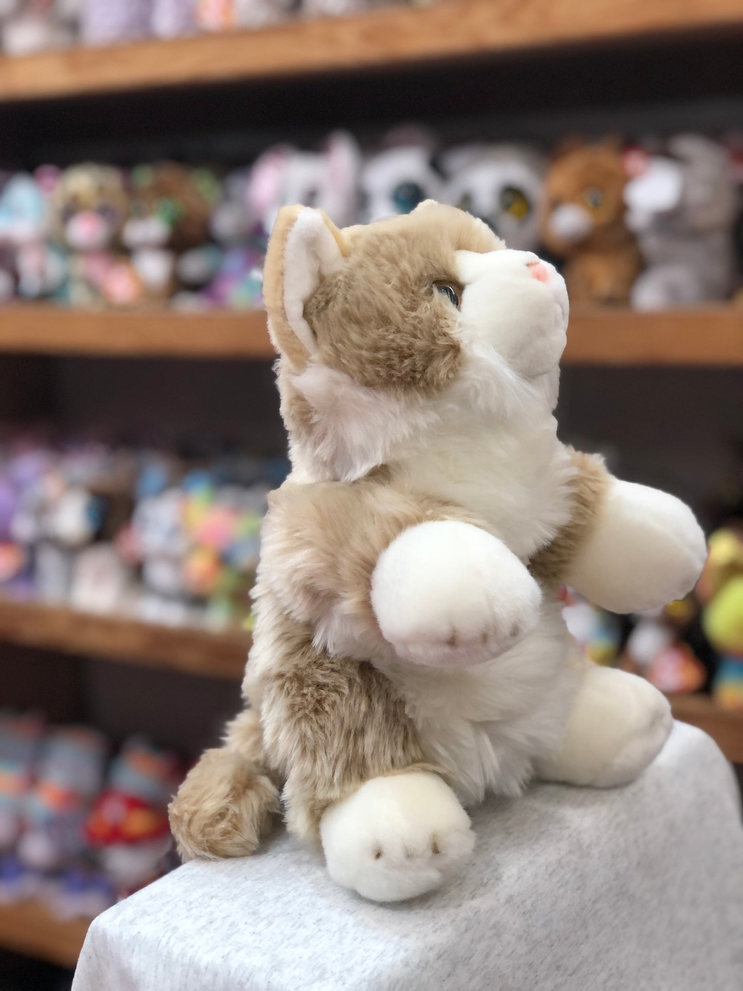 Cuddly beige and white cat puppet from The Puppet Company, sitting on display with other plush toys in background