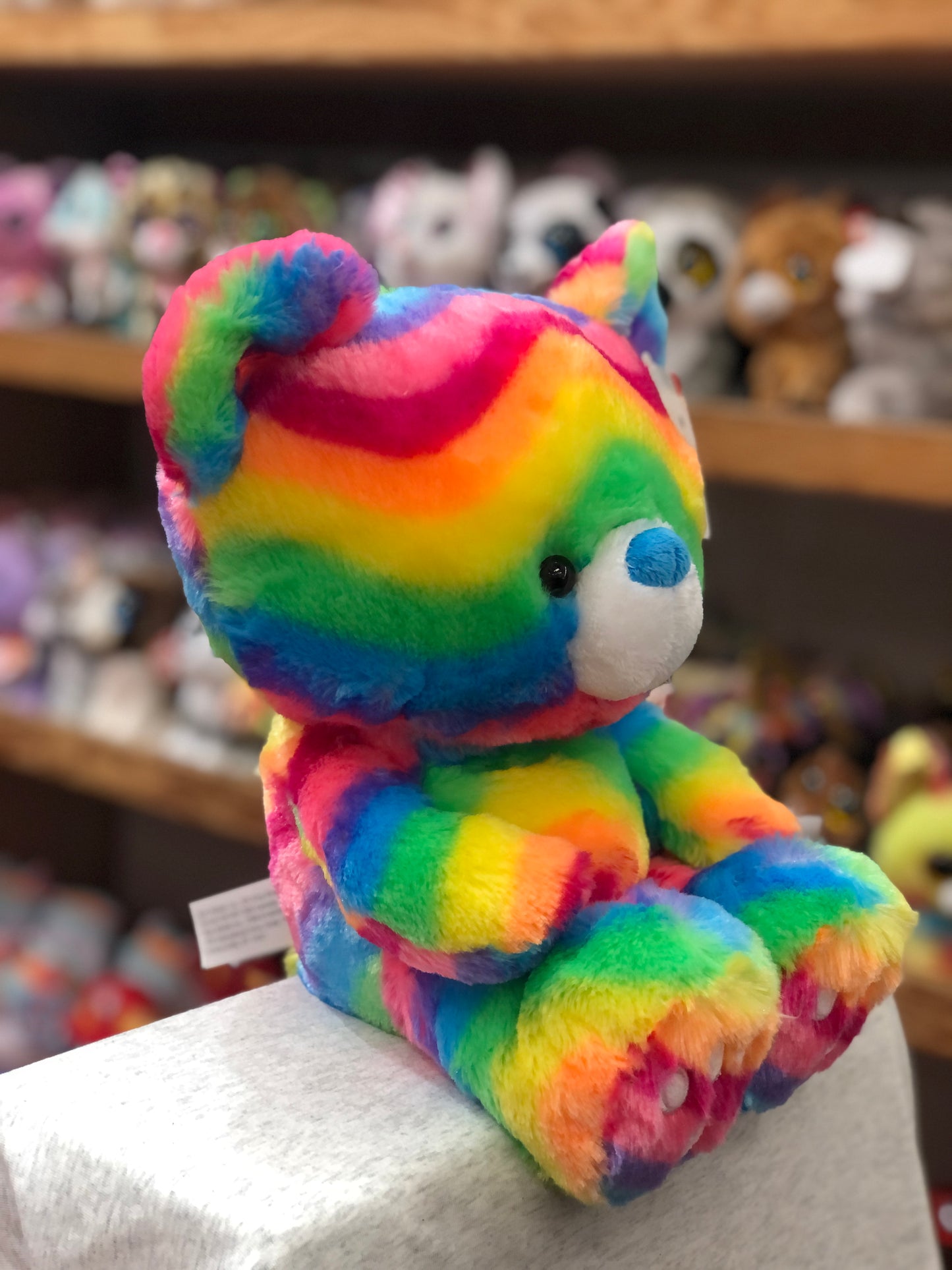 Colorful Gund Kai rainbow teddy bear plush toy with oversized head and embroidered paws, sitting on display shelf