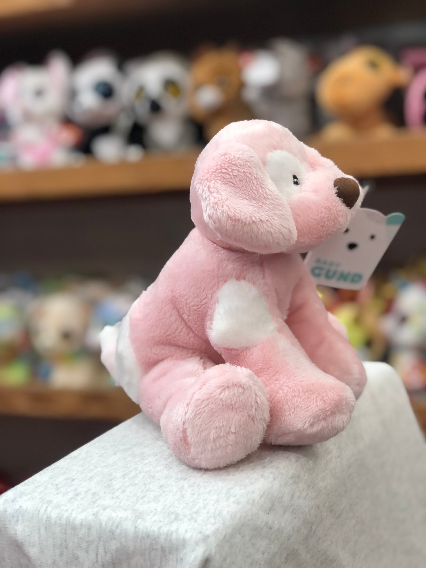 Pink Gund Spunky puppy plush toy with white spot, sitting on display shelf with other stuffed animals in background