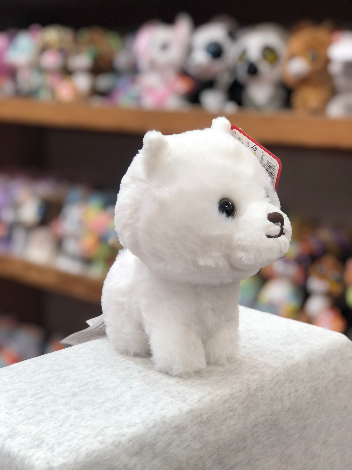 Gund Westie puppy plush toy, 6 inches, white and fluffy, displayed on shelf with other stuffed animals in background