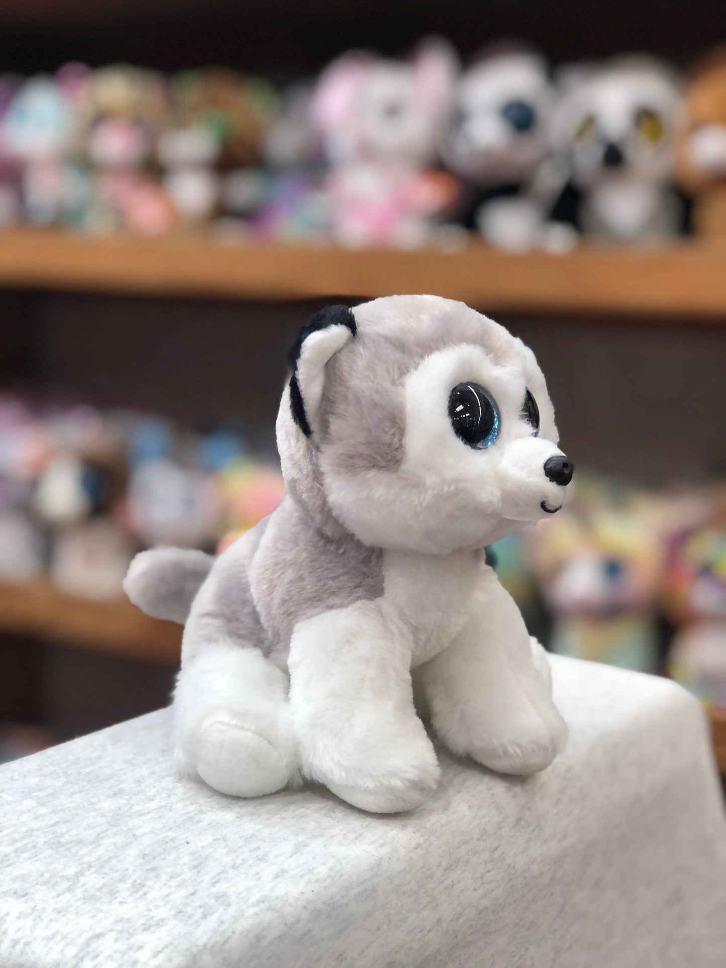 Ty Beanie Baby Buff Husky plush toy with blue eyes, sitting on display with other stuffed animals in background