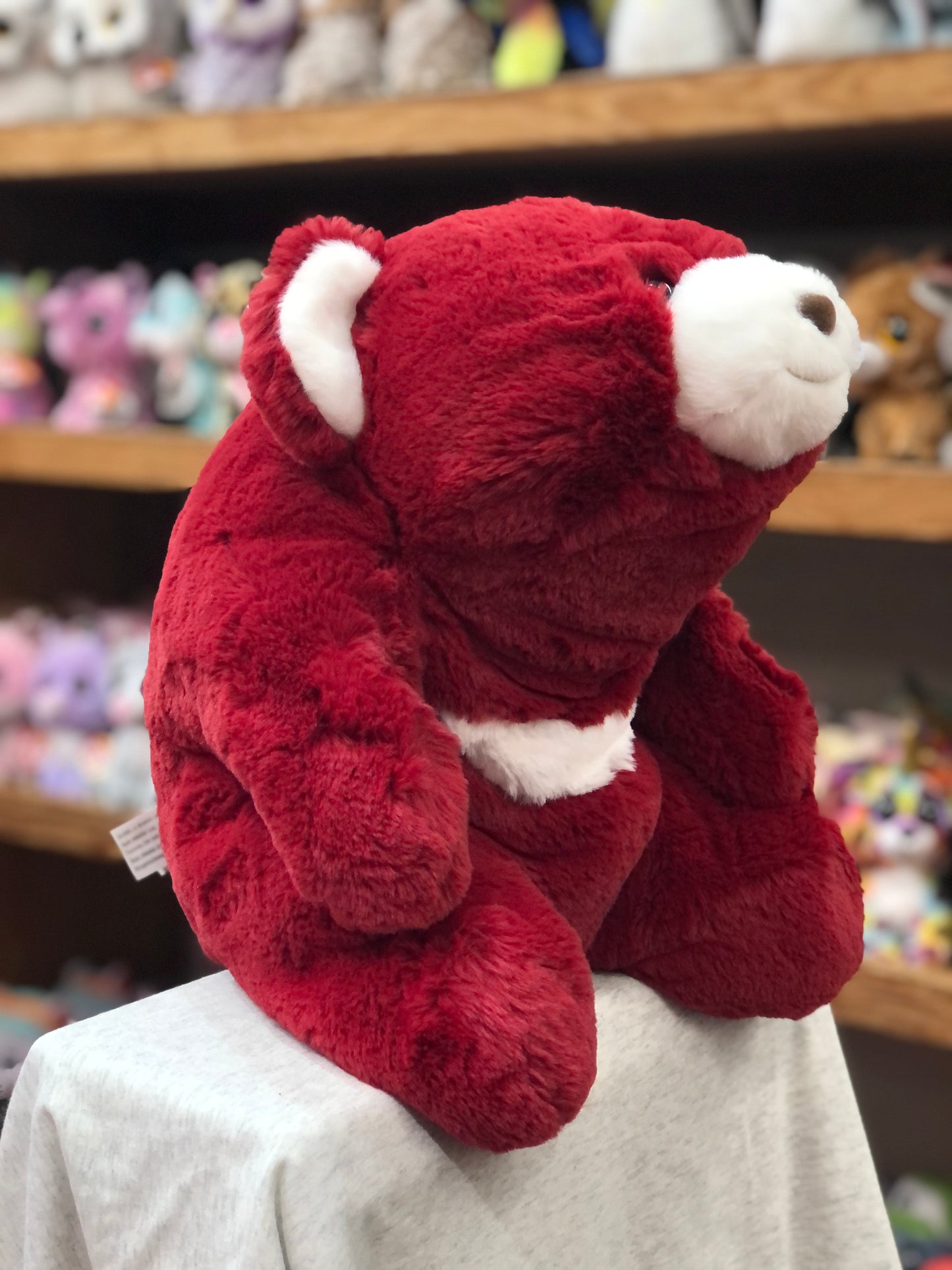 Ruby Snuffles 40th Anniversary plush bear, red with white accents, sitting on display in toy store with other stuffed animals visible