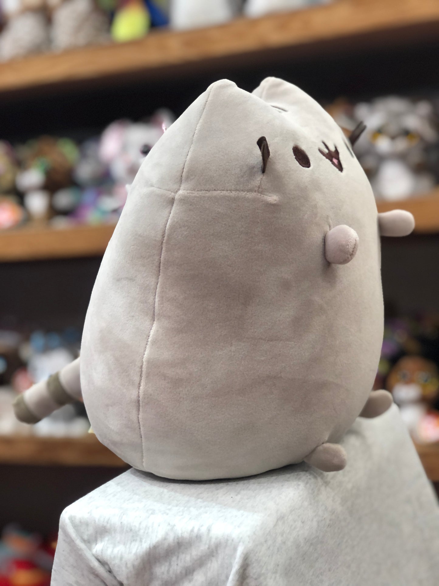 Soft, plump Pusheen Squisheen plush sitting on display, showcasing its cuddly gray body and cute facial features