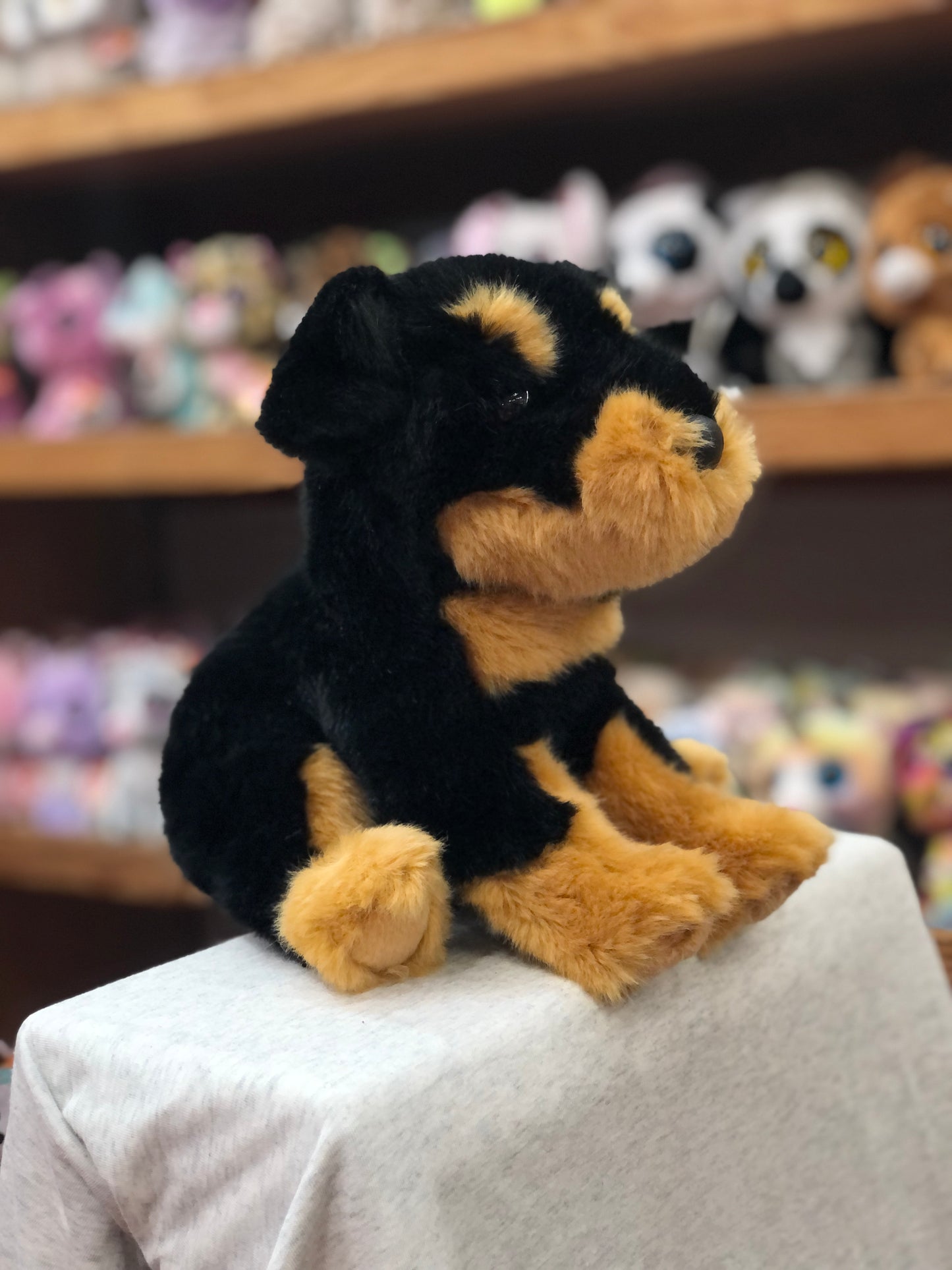 Soft and cuddly Rottweiler plush toy Rocky sitting on display, showcasing its black and tan fur and floppy poseable body