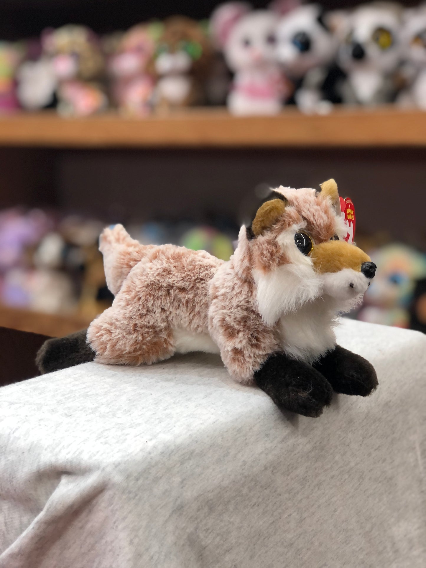 Ty Beanie Baby Frederick fox plush toy on display, soft pink fur with black paws, surrounded by other stuffed animals