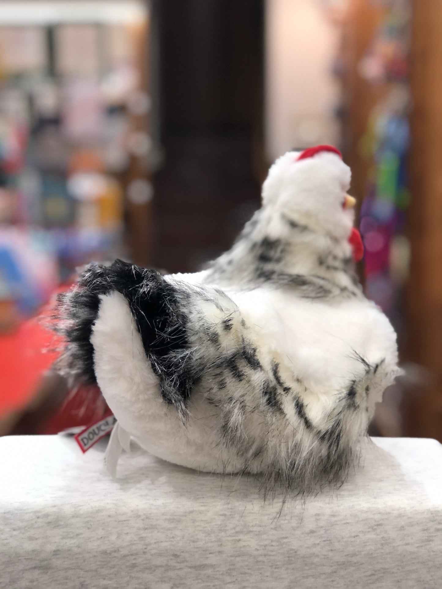 Realistic Douglas Salty black and white hen plush toy with soft feathers and red accents, displayed on a table in a toy store