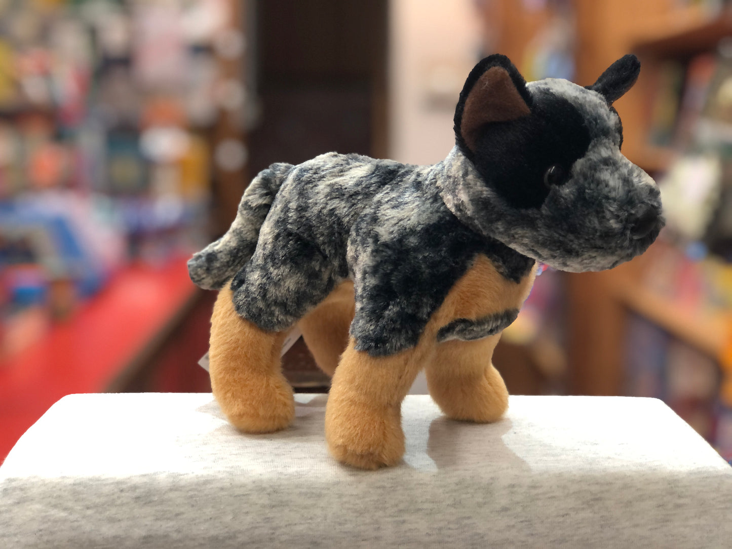 Lifelike Australian Cattle Dog plush toy with blue merle coat and tan markings, standing on display in a toy store