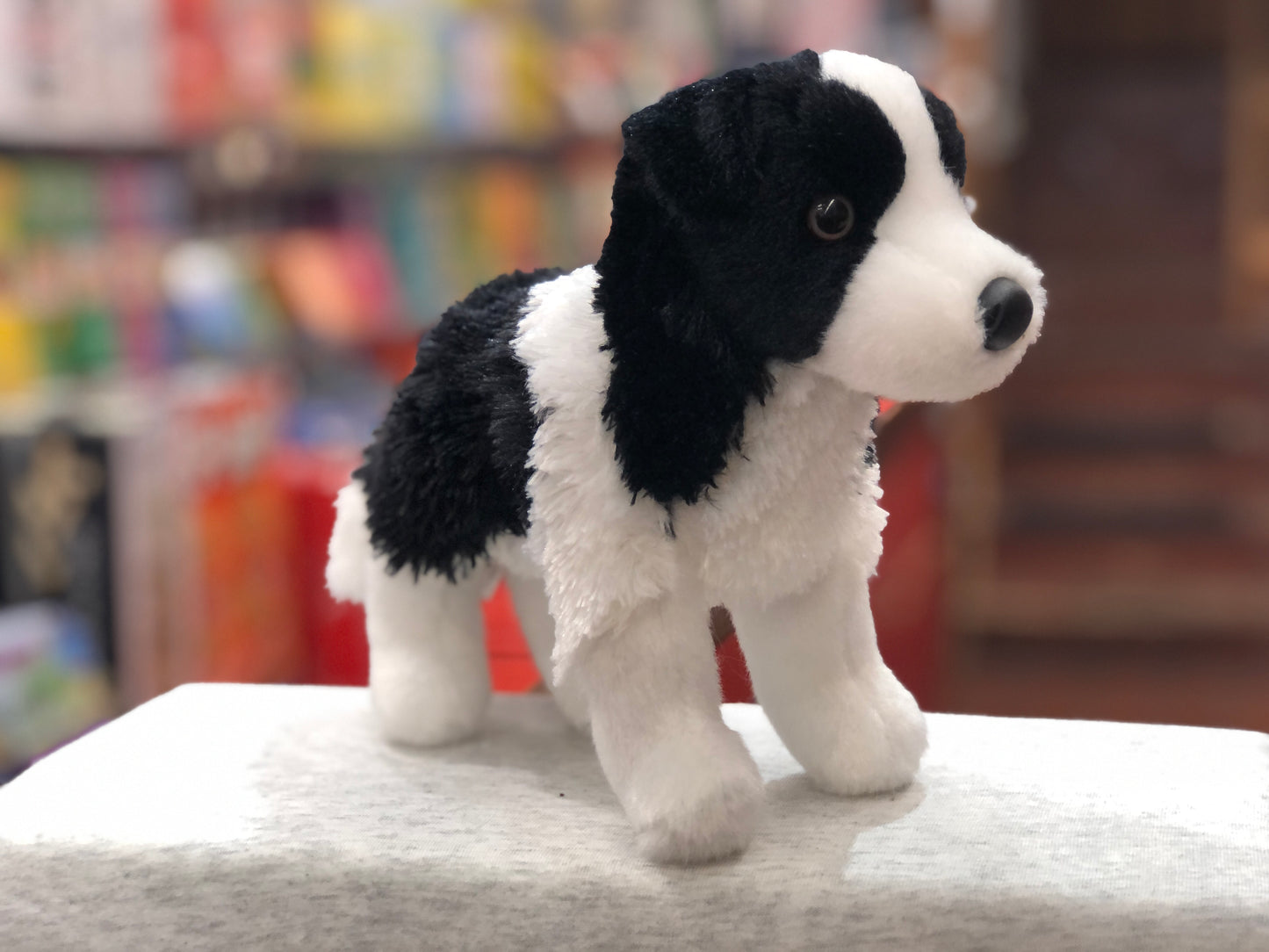 Realistic 8" Border Collie plush toy with black and white coat, standing pose, and eager expression, ready for play and cuddling
