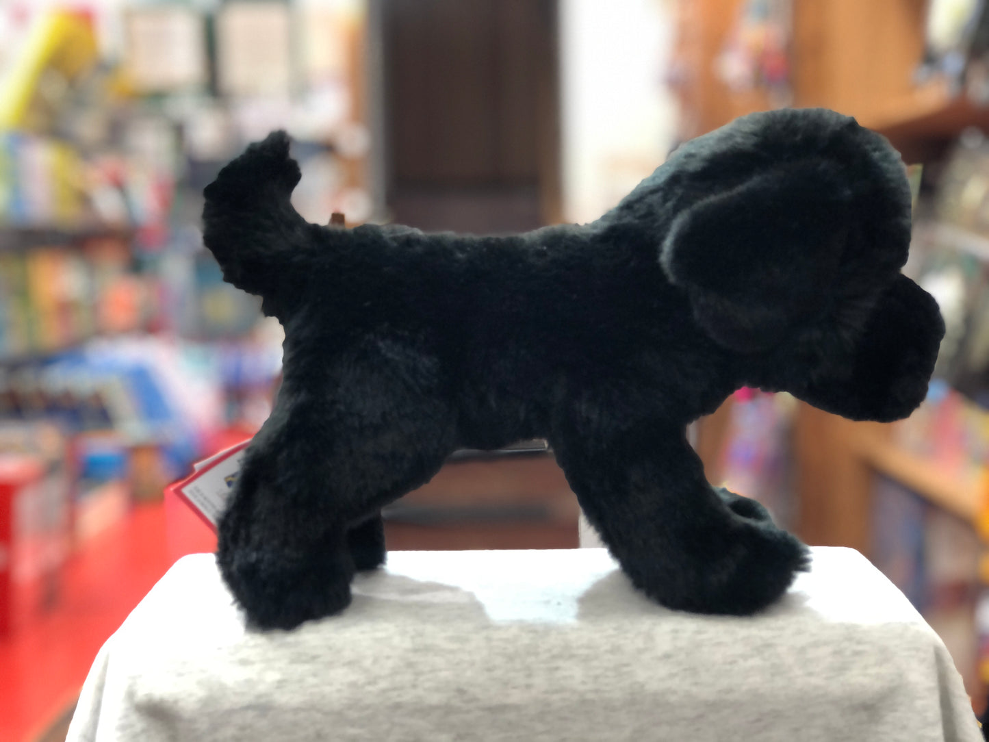 Adorable black Labrador Retriever plush toy, Whittaker, standing on display with soft fur and realistic features