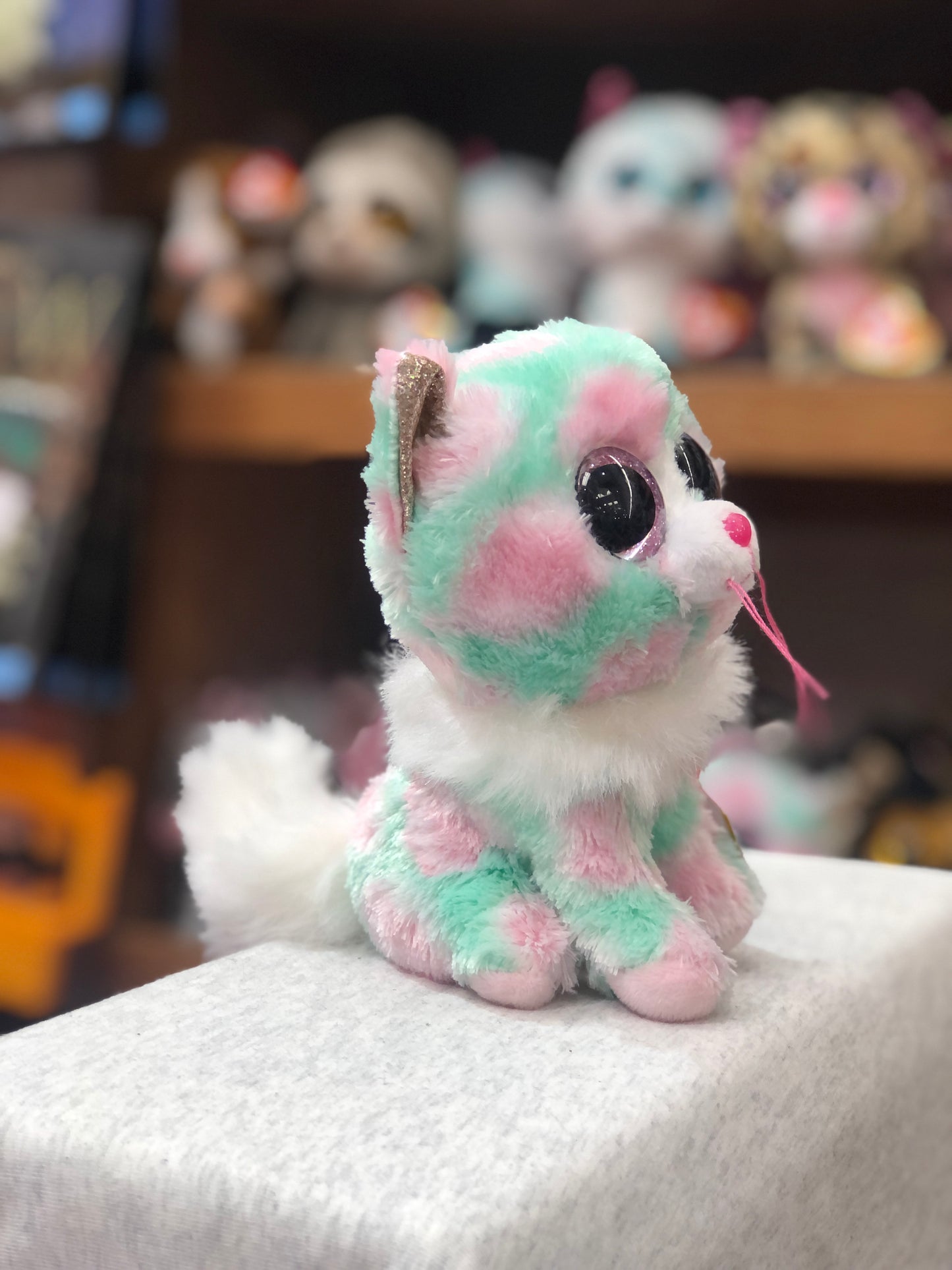Ty Beanie Boo Opal pastel cat plush with big eyes, soft white collar, and fluffy tail, surrounded by other stuffed animals