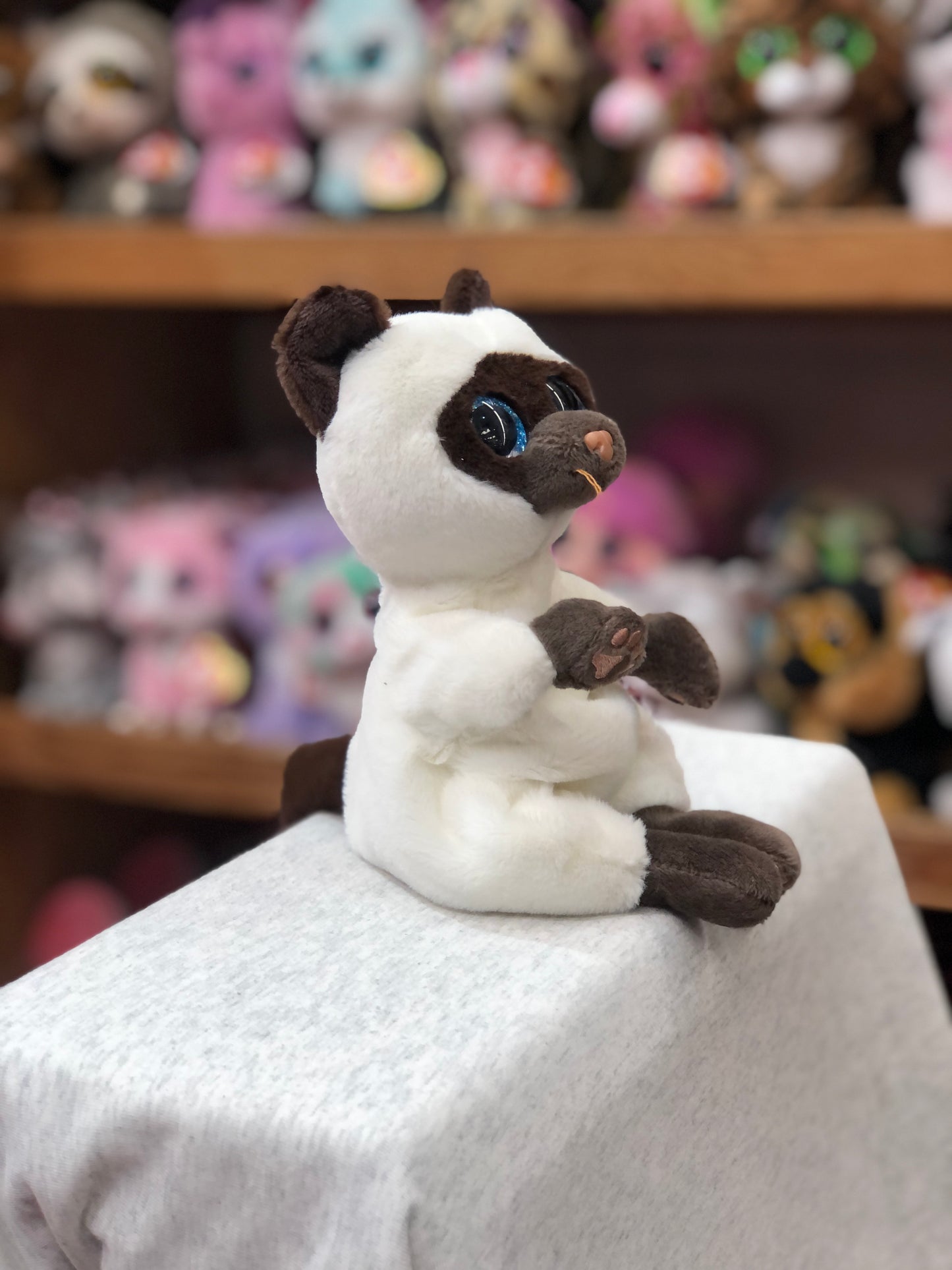 Ty Beanie Bellies Miso Siamese cat plush toy with blue sparkly eyes, sitting upright on display among other stuffed animals