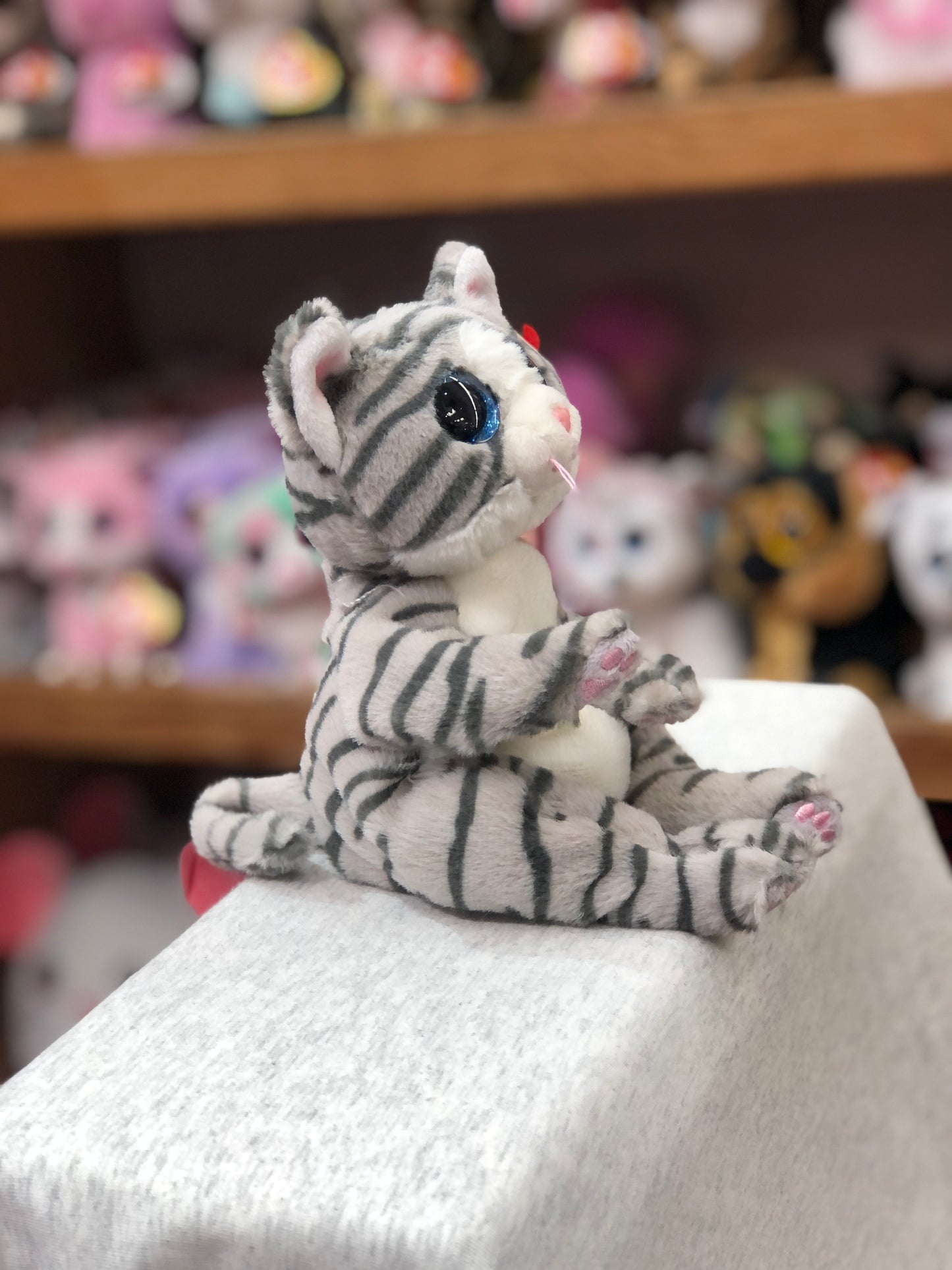 Ty Beanie Belly Mitzi grey tabby cat plush toy sitting, showing embroidered paws and tilted head, with other toys in background