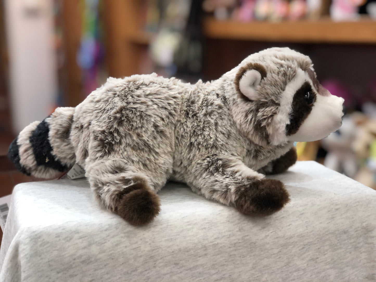 Cuddly Douglas Ringo raccoon plush toy with soft gray fur and black mask, lying on white surface in toy store setting
