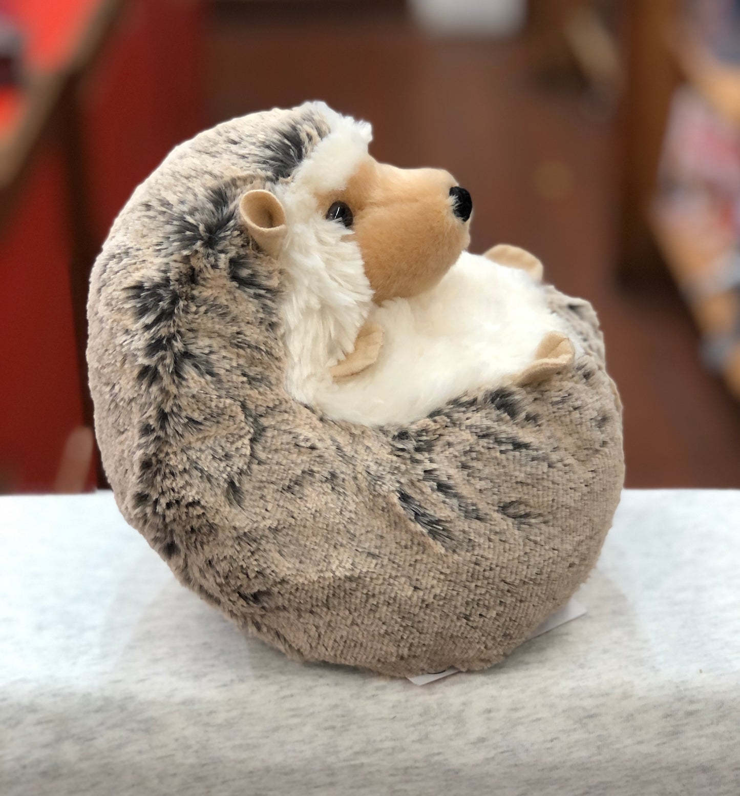 Adorable Douglas Spunky Hedgehog plush toy, 8 inches long, with frost-tipped brown fur and cream-colored face, curled up on display