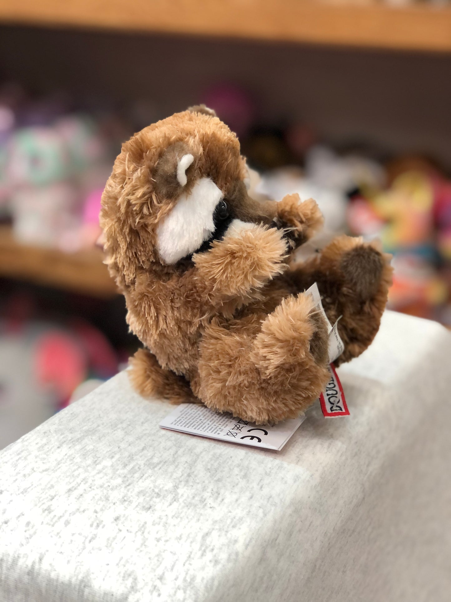 Cute Douglas Lil' Baby Raccoon plush toy with soft brown fur and black mask, sitting on display in a store