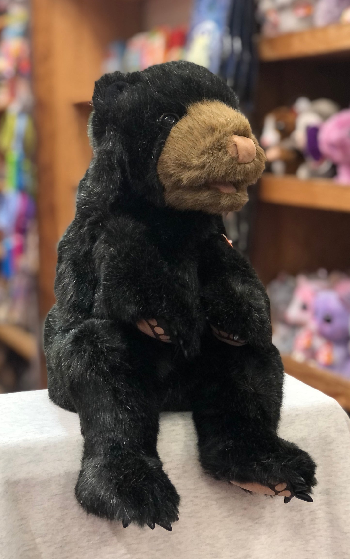 Folkmanis Black Bear Cub puppet with soft black fur, brown snout, and movable paws sitting on display in toy store