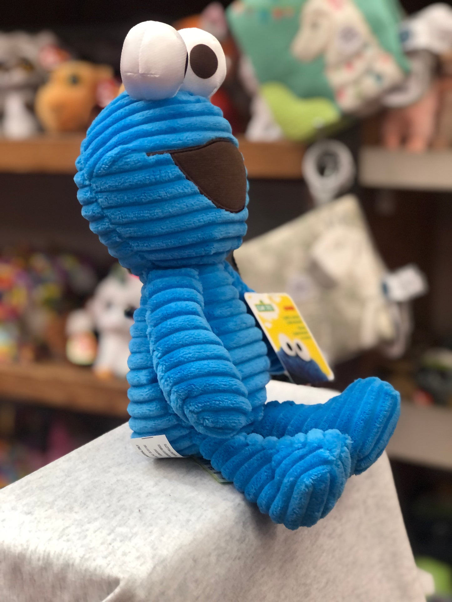 Soft corduroy Cookie Monster plush toy from Gund, blue with textured fabric, sitting on display in toy store