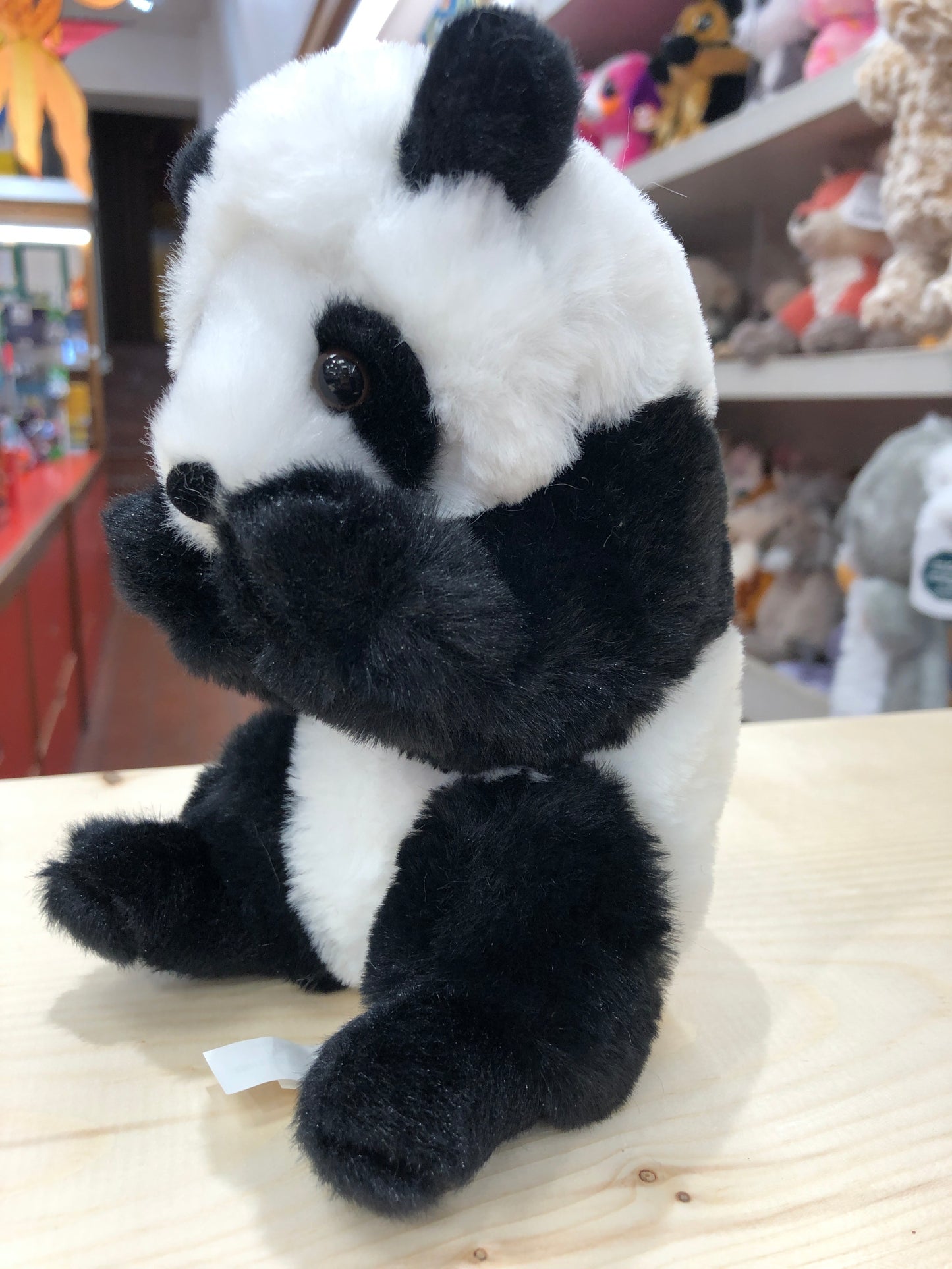 Adorable Douglas Lil' Baby Panda Bear plush toy with soft black and white fur, sitting on display in a toy store