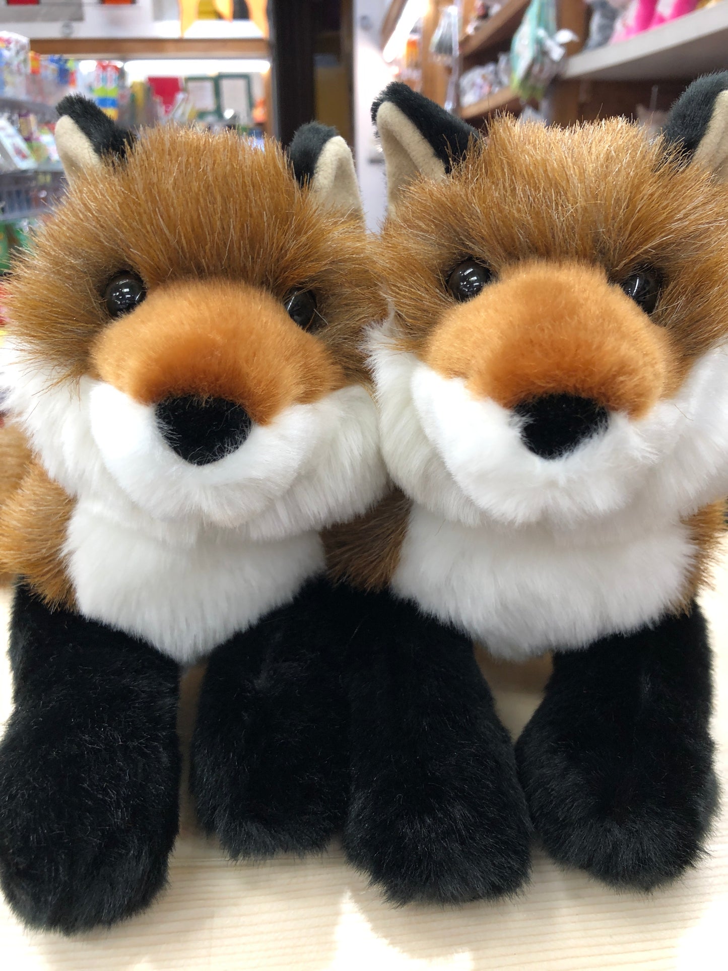 Adorable Douglas Roxy red fox plush toys with russet fur, white muzzles, and black paws displayed in a store setting