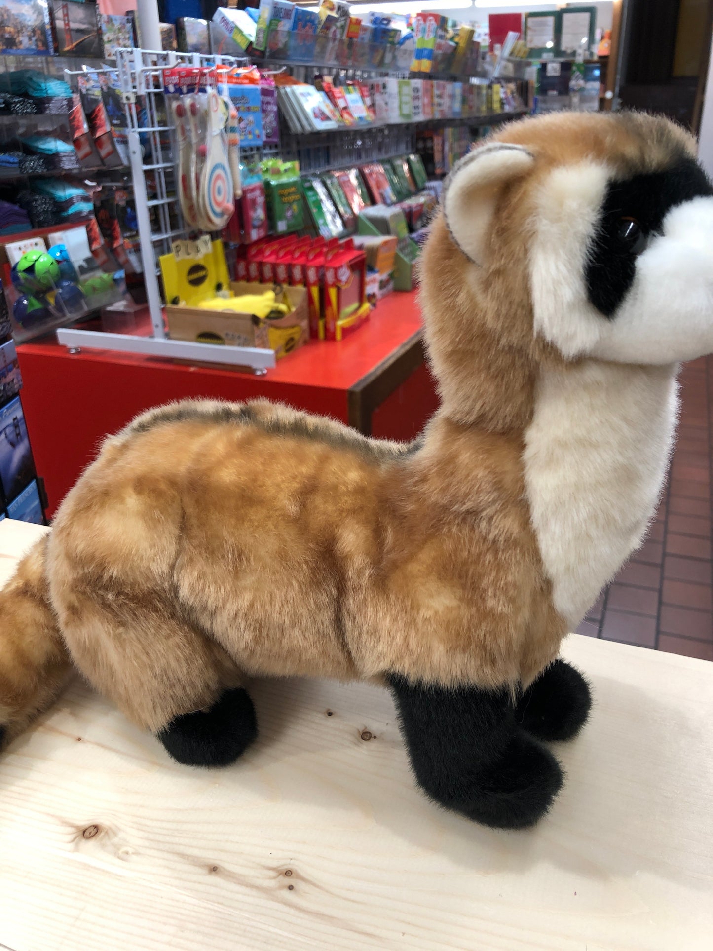 Realistic 10" black-footed ferret plush toy in toy store, featuring alert expression and detailed fur coloring