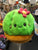 Squishable Snacker Cactus