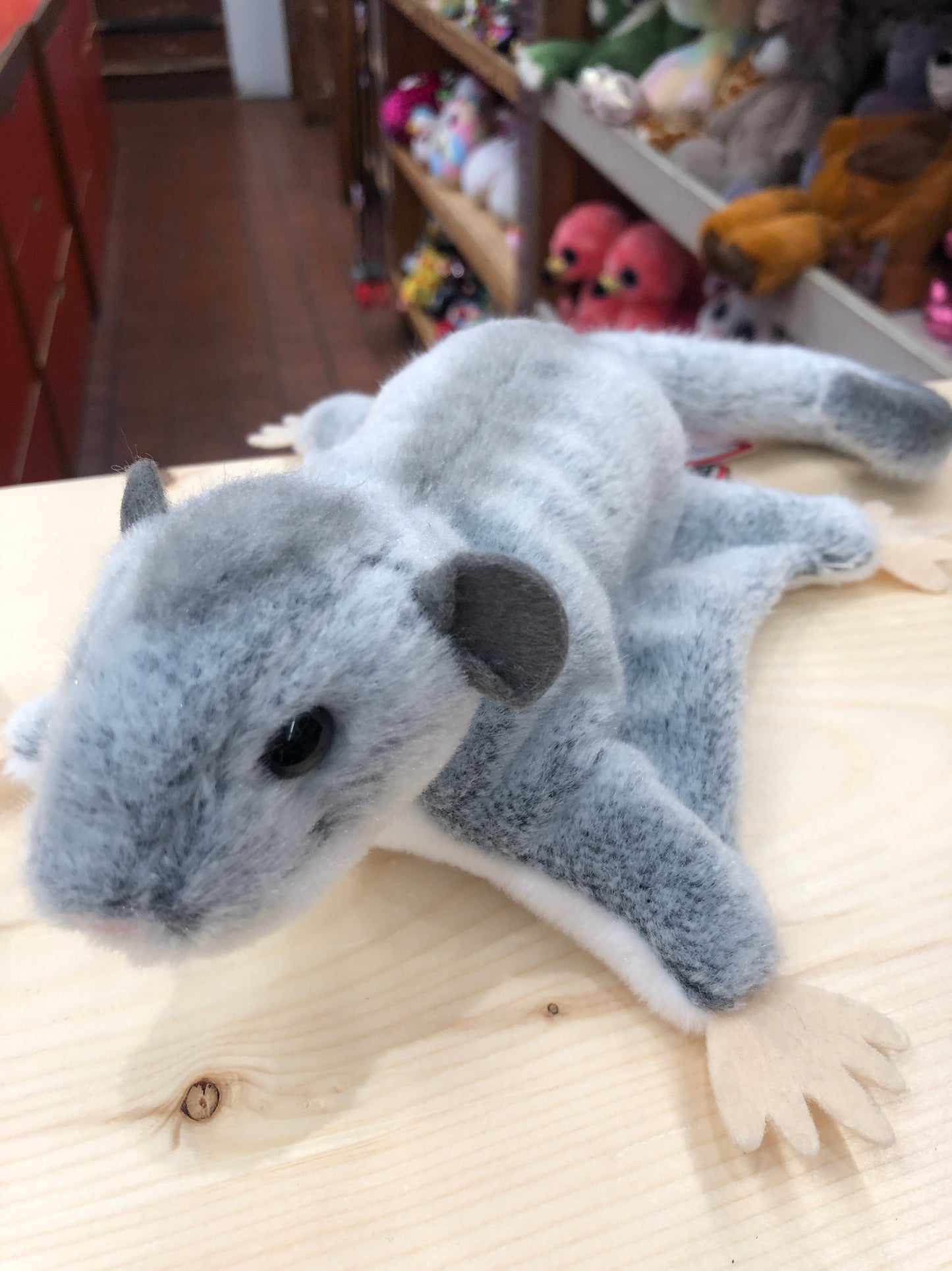 Soft gray sugar glider plush toy Squeek on wooden surface, showcasing velvety fur and curled tail, with colorful toys in background