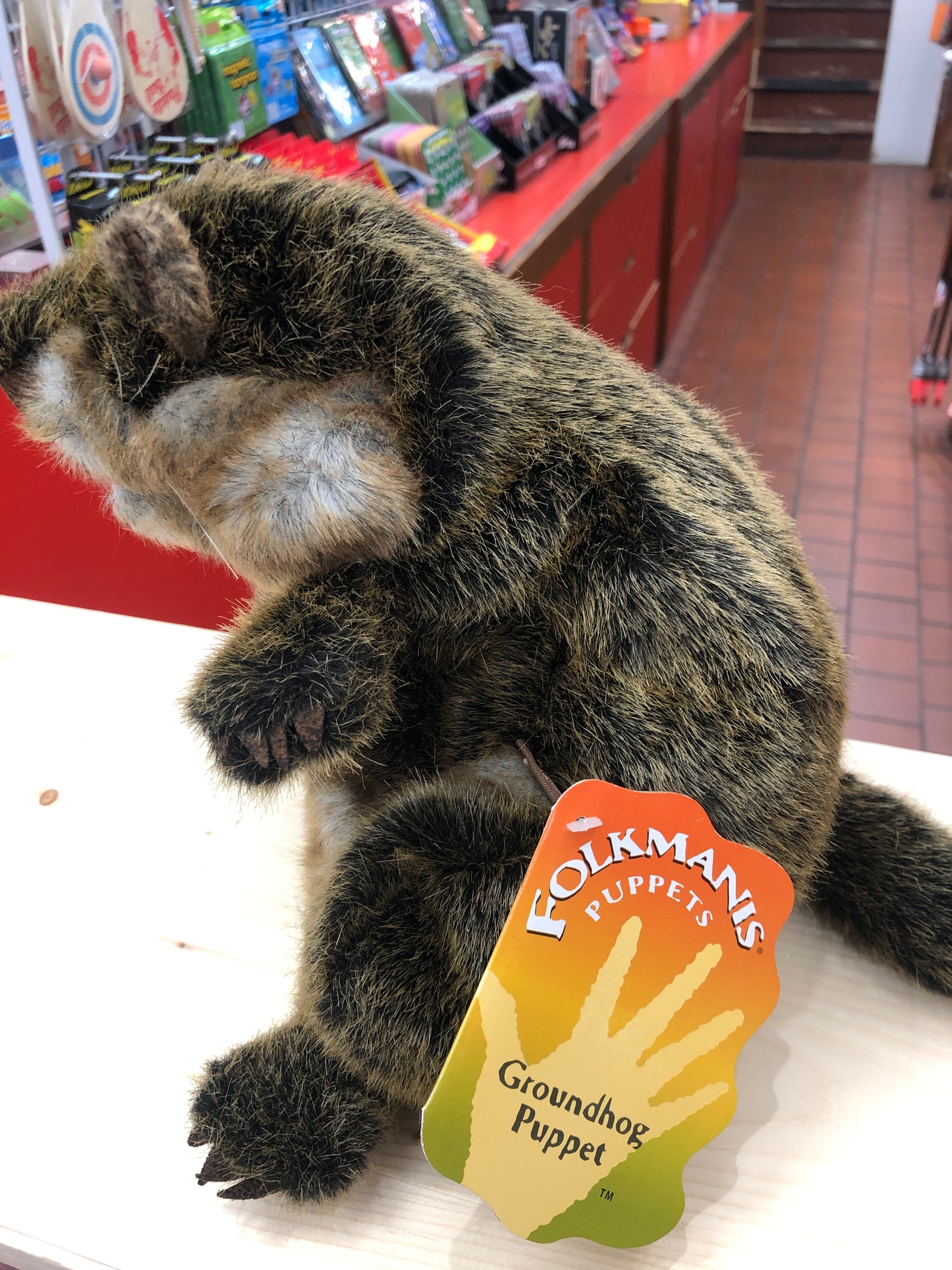 Folkmanis Groundhog Puppet on display, lifelike fur and posable limbs, with product tag in store setting