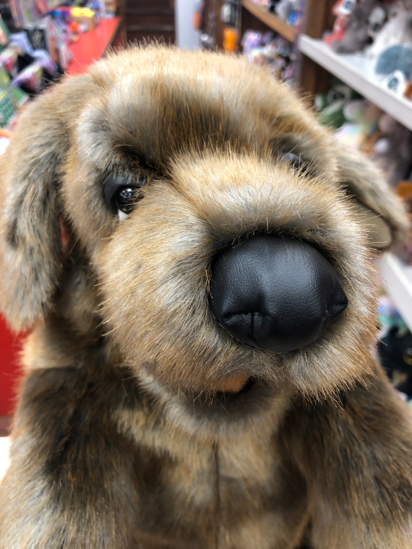 Close-up of Folkmanis sitting dog puppet with lifelike fur, expressive eyes, and black nose, ready for interactive playtime